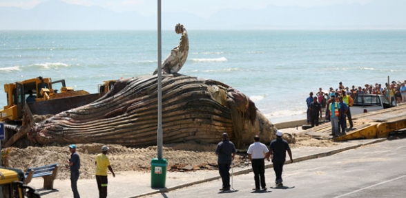 Kumsalda İnanılmaz Manzara