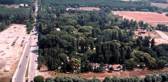 Mahkemeden Atatürk ün vasiyeti kararı