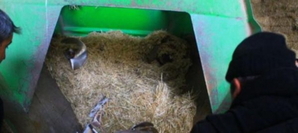 Makinanın İçinde Can Verdi 