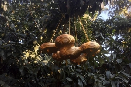 Modernize Kuş Evleri Tasarlandı