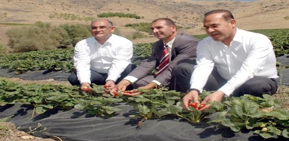 Muhtar köyünü kalkındırdı