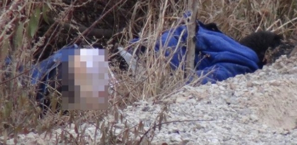 Öldürülen Gencin Cinsel Organını da Kesmişler