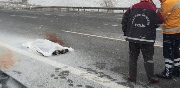 Öldürüp Öldürüp Yola Attılar