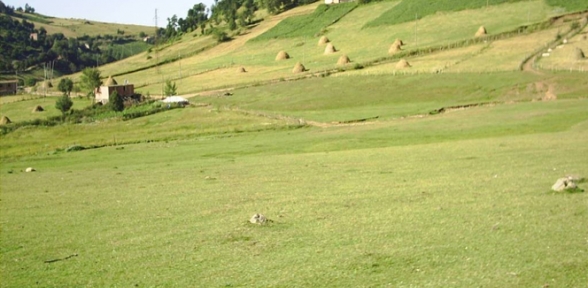 Orduda çatışma çıktı