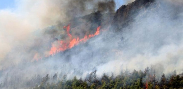 Orman yakan PKK yandaşları yakalandı