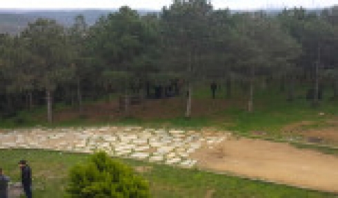 Ormanda Başından Vurulmuş Ceset Bulundu