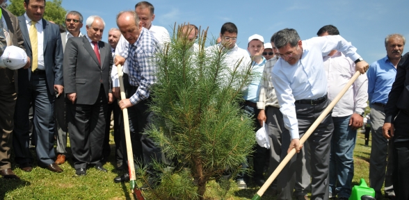 Pendik Yeşil Alan Zengini Oldu