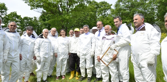 PENDİKLİ EMEKLİLER BALCILIK YAPIYOR