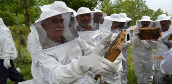 PENDİKTE BALLI EMEKLİLİK