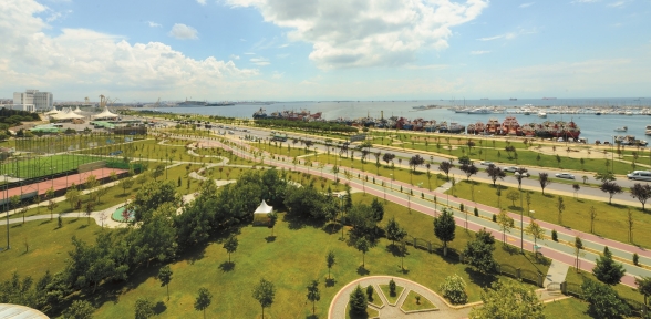 Pendikte hedef 1 milyon fidan