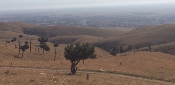 Peşmerge güçleri Şengal e girdi
