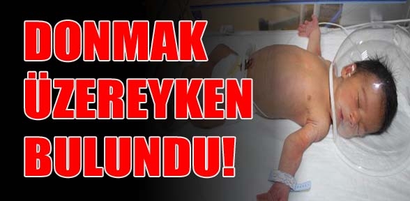 Rögar kapağının üzerinde bulundu