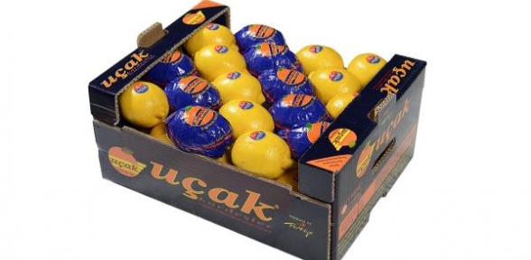 Rusyaya uçak logolu limon krizi