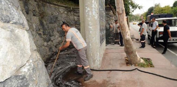 Sabunlu suyla yıkayıp kapattılar