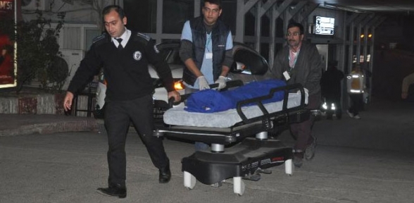 Sadece Sallanmak İstemişti 