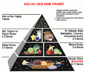 SAĞLIKLI BESLENME