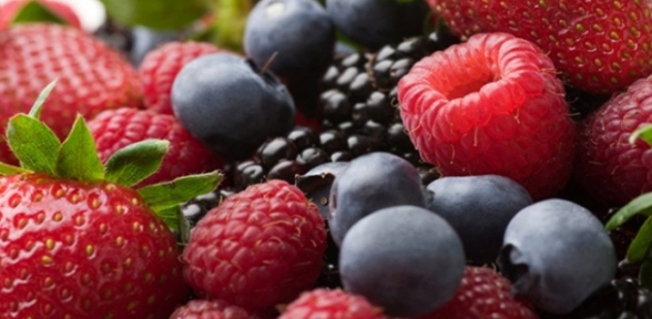 Sağlıklı yaşamın sırları