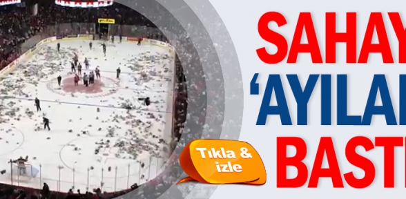 Sahayı Ayılar Bastı 