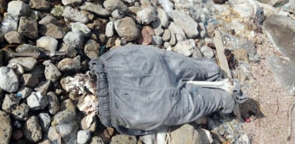 Sahile Belden Yukarısı Olmayan Erkek Cesedi Bulundu