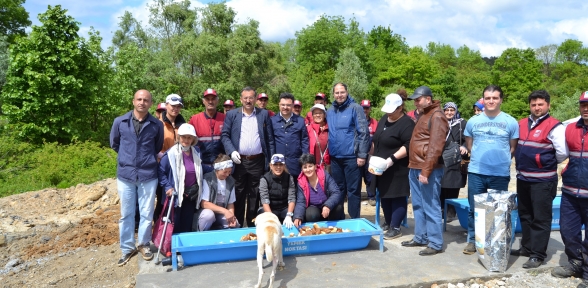 Sahipsiz hayvanlara 100 besleme noktası