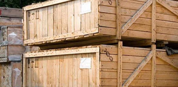 Sandıktan Çıkanlar Şaşırttı 