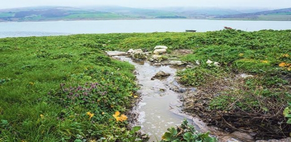 Sazlıdere Barajına 11 yıldır lağım karışıyor