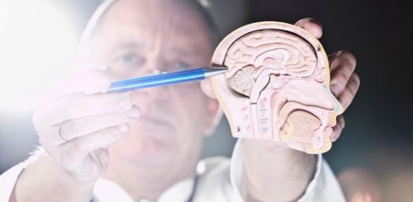 Şeker beyne ruhsal travma kadar zarar veriyor