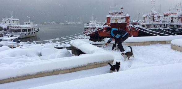 Sokak Hayvanlarına Sıcak Dost 