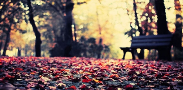 Sonbahar yorgunluğuna çareler