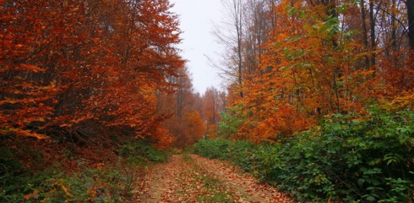 Sonbaharda Uludağ göz kamaştırıyor