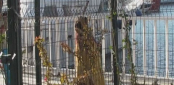 Tekrar Tekrar Aynı Facia Yaşanıyor 