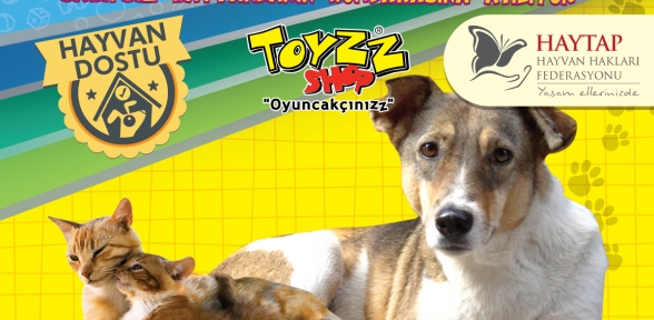 TOYZZ SHOP VE HAYTAP İŞ BİRLİĞİ
