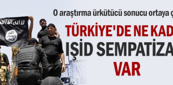 Türkiyede ne kadar IŞİD sempatizanı var
