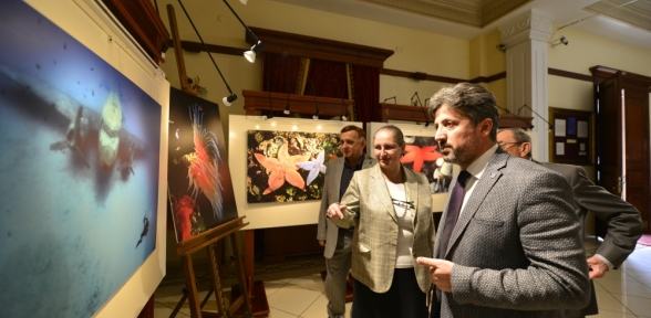 Türkiyenin Deniz Canlıları Bu Sergide