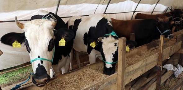 Türkiyeye bir darbe de Azerbaycandan