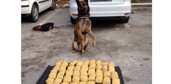 Uyuşturucu tacirinin foyasını narkotik köpeği ortaya çıkardı