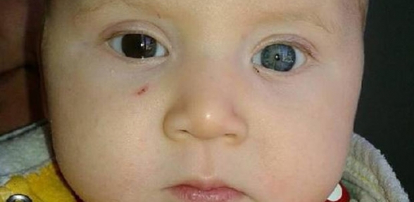 Van kedisi gibi bebek