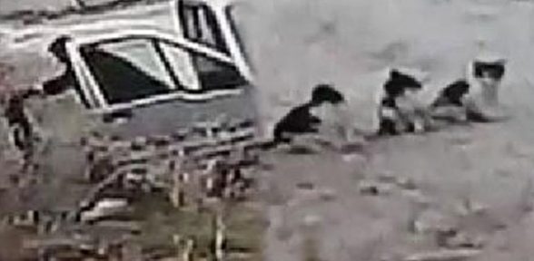 Yavru Kedileri Ölüme Terkeden Adama 1200 Lira Para Cezası 