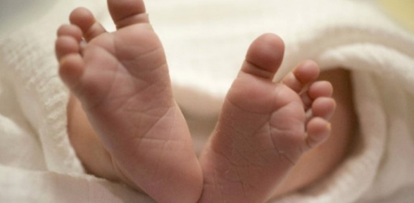 Yeni Dogan Kardeşini Öldürdü 