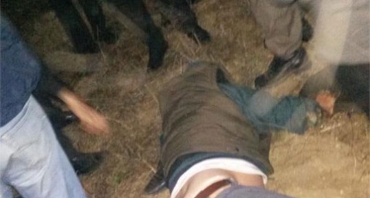 Yırca da köylüleri dövdüler 1 saatte 6 bin zeytin ağacını kestiler