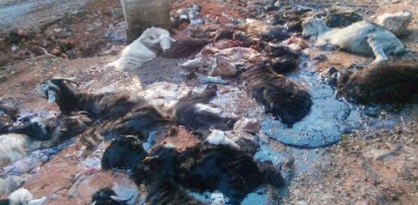 Yol kenarına dökülen zift telef etti