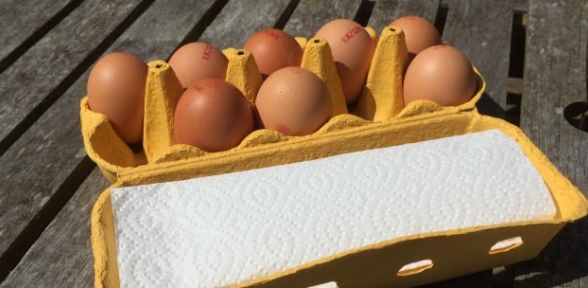 Yumurtada Yeni Dönem 