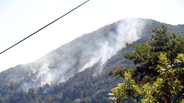 Zonguldak ta 3 Hektarlık Orman Alanı Yangında Zarar ...